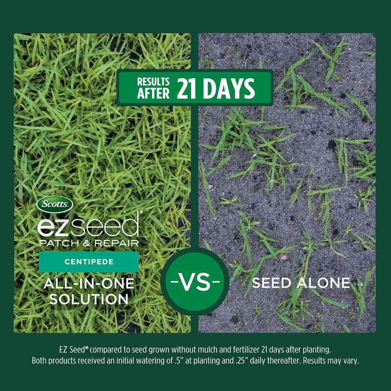 Scotts&reg; EZ Seed&reg; Patch & Repair Centipede Grass image number null